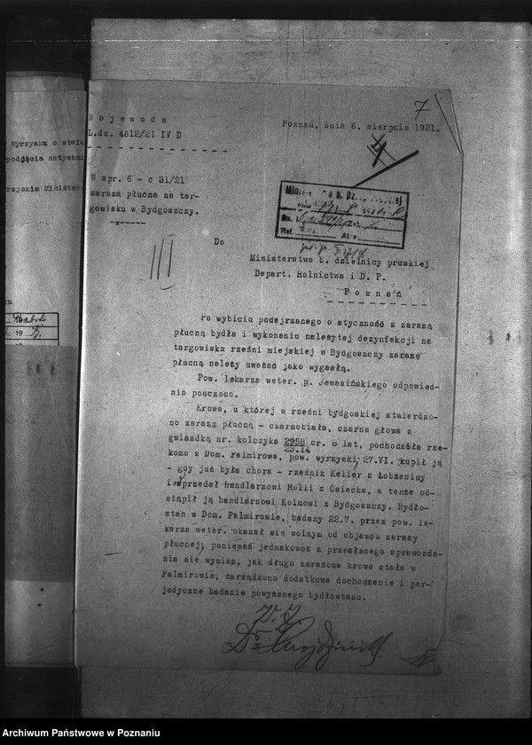 Obraz 11 z jednostki "Zaraza płucna - Bydgoszcz"