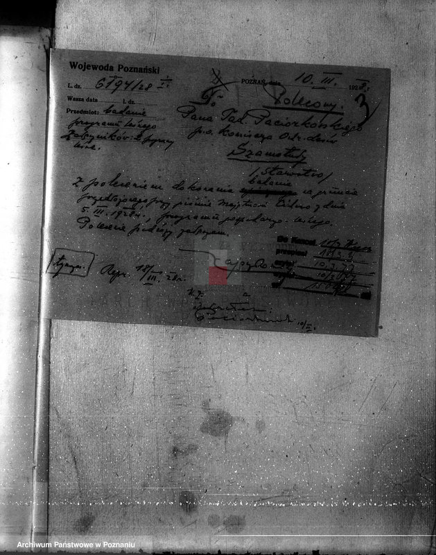 Obraz 7 z jednostki "Nadzór nad gospodarką w lasach majętności Cichowo powiat kościański"