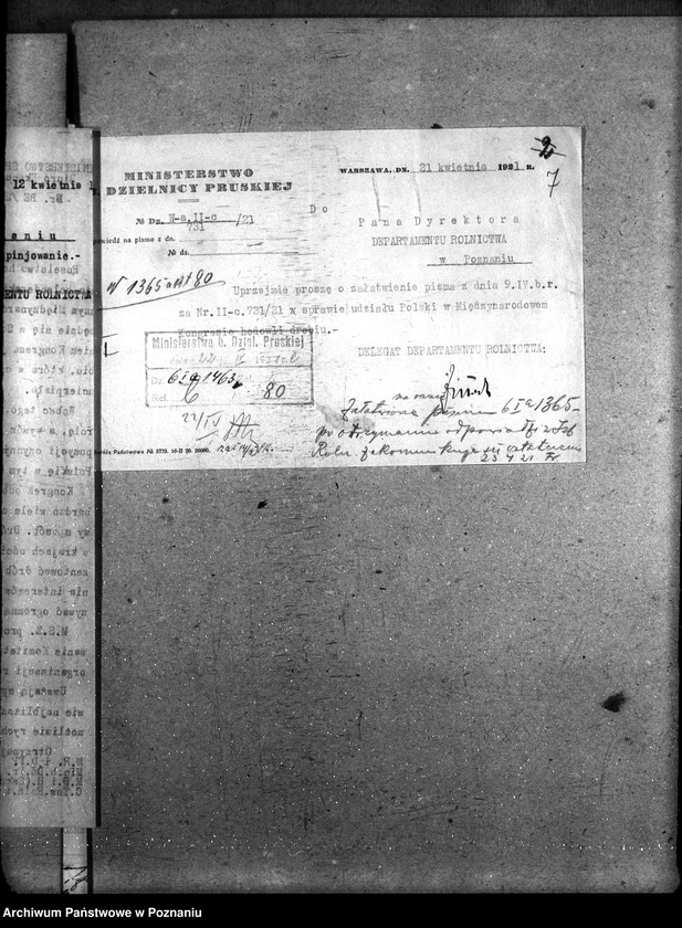 Obraz 11 z jednostki "Sprawy szczegółowo-administracyjne Drobny inwentarz i drób"