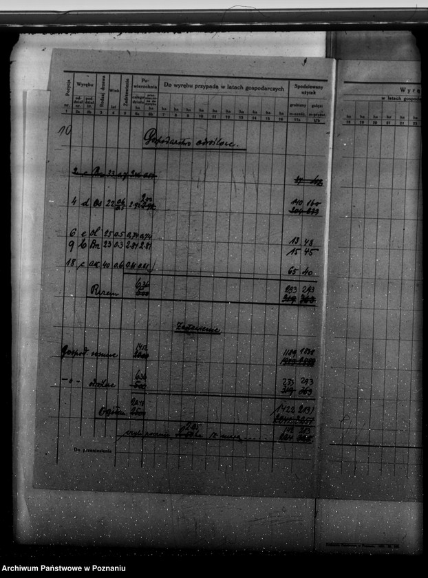 Obraz 14 z jednostki "Program urządzenia gospodarstwa leśnego dla lasu majętności Kobylepole powiat poznański 1929-1939"