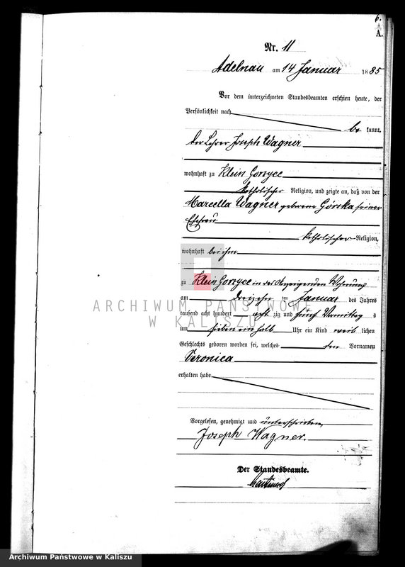 image.from.unit.number "[Księga urodzeń]"