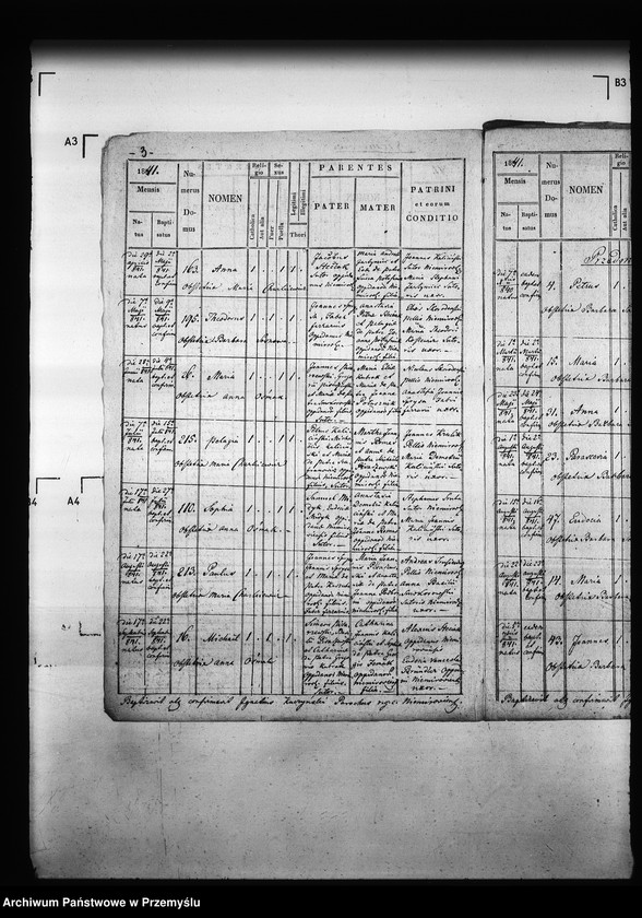 Obraz 7 z jednostki "[Kopie ksiąg metrykalnych parafii Niemirów z filiami Wólka Niemirowska i Przedmieście (dekanat Niemirów)]"