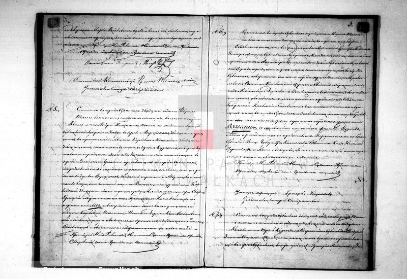 image.from.unit.number "Duplikat Aktov Graždanskago Sostajanija Suvalkskago Pravosłavnago Prichoda na 1868 god."