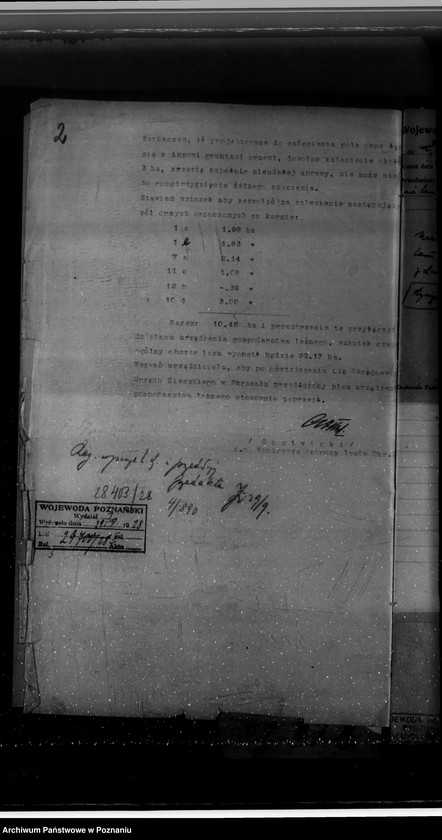 Obraz 6 z jednostki "Nadzór nad gospodarką w lasach majętności Jezierzyce"