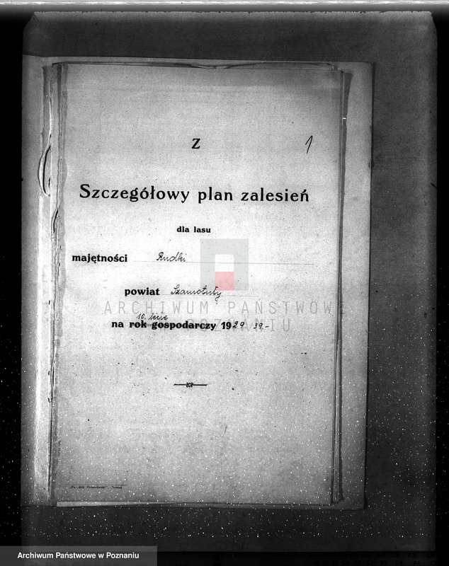 image.from.unit.number "/Szczegółowy plan zalesień i cięć lasu dla majętności Rudki powiat szamotulski 1929-1939"