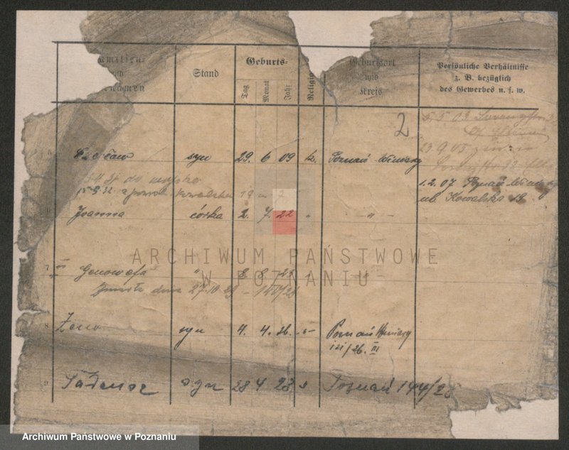 Obraz 2 z jednostki "Popałkiewicz - Poprawa"