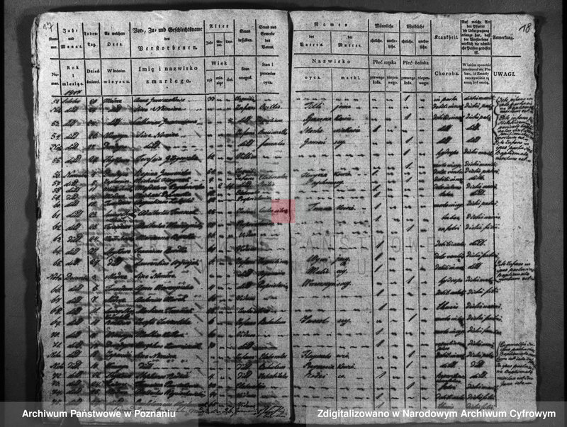 image.from.unit.number "Duplicatus baptisatorum, copulatorum, mortuorum"