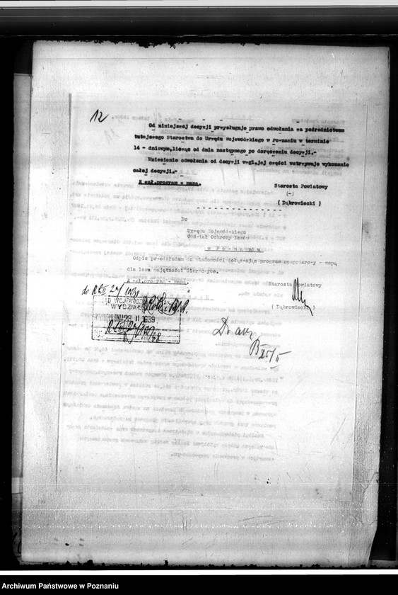 Obraz 16 z jednostki "Las majętności Gierczyce powiatu kępińskiego"