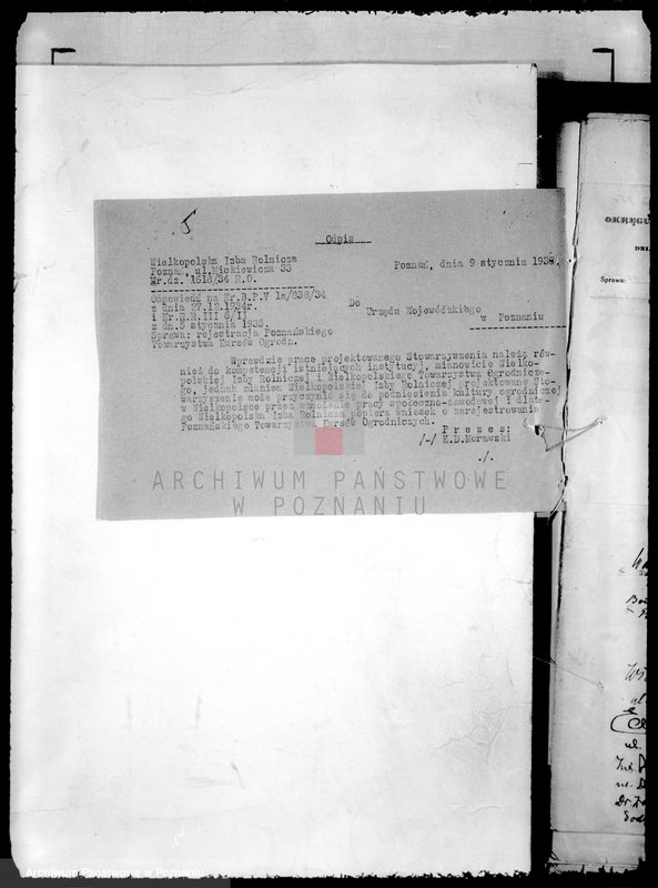 Obraz 9 z jednostki "/Poznańskie Towarzystwo Kursów Ogrodniczych w Poznaniu/"