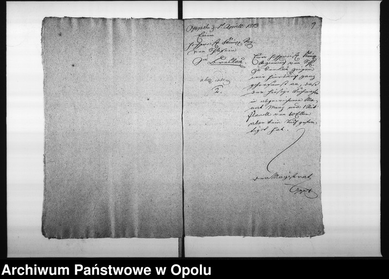 Obraz 11 z jednostki "Acta des Magistrats zu Oppeln von Einsendung der monathl[ichen] Nachweisnung der Tuch Fabrication Vol. I de anno 1812"