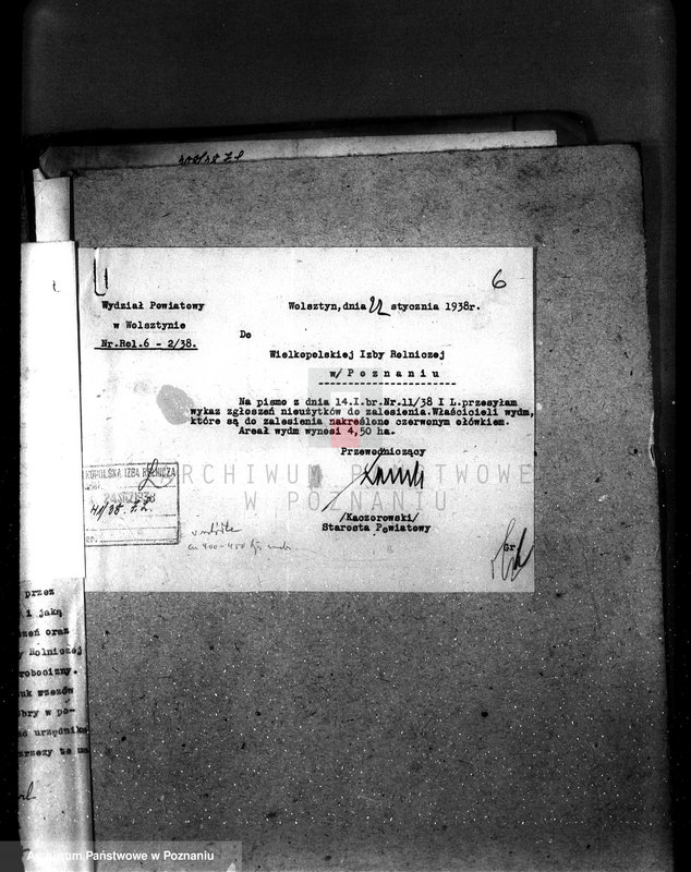 Obraz 13 z jednostki "Zalesienie nieużytków pod nadzorem Izby Rolniczej w powiecie wolsztyńskim"