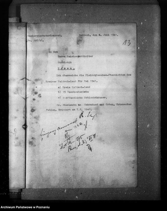 Obraz 17 z jednostki "Statistik über Fleischbeschau und Schlachtungen"