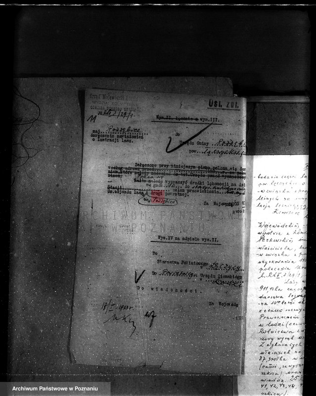 Obraz 15 z jednostki "Częściowa zmiana rodzaju użytkowania 5,83 ha gruntów leśnych w majątku Zalesin powiat turecki"