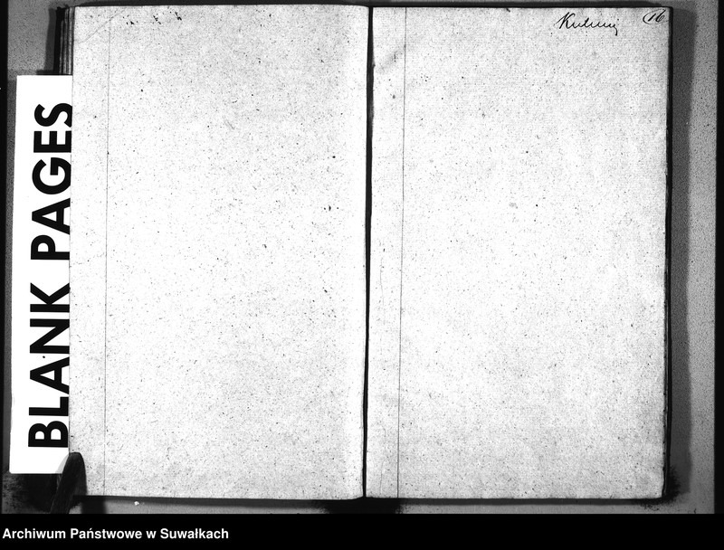 image.from.unit.number "Duplikat Aktów Urodzeń, Ślubów i Śmierci Starozakonnych Okręgu Sejny na rok 1865"