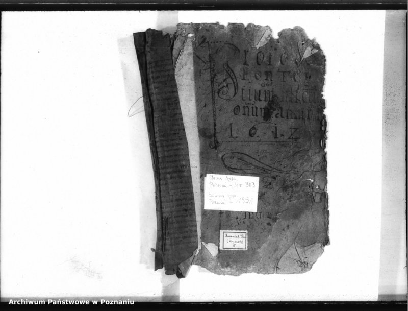 Obraz 3 z jednostki "Inscriptiones, (resignationes) [protocollon]"