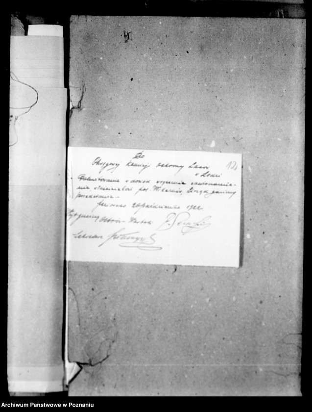 Obraz 16 z jednostki "Lustracja lasów majątku Wilczków powiat turecki"