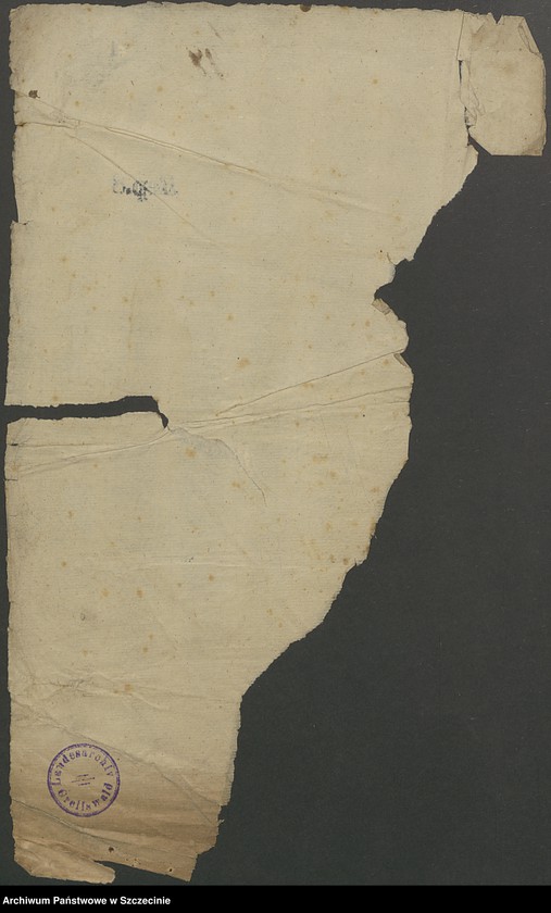 image.from.unit.number "Domkapitel contra Hofrat Felix v[on] Podevils und den Kriegskommissarius Paul Grantz in po debiti."