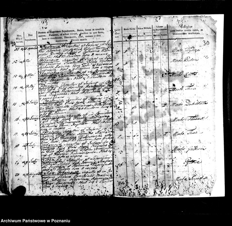image.from.unit.number "Liber baptisatorum, mortuorum, copulatorum"