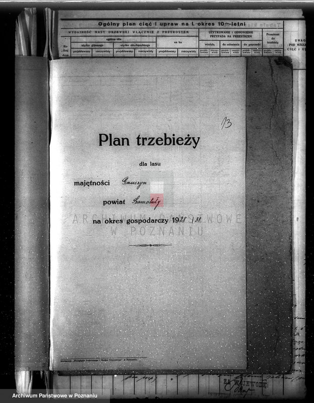 Obraz 17 z jednostki "Dodatkowy plan urządzenia gospodarstwa leśnego dla lasu majętności Grzuszyn powiat szamotulski 1937-1938"