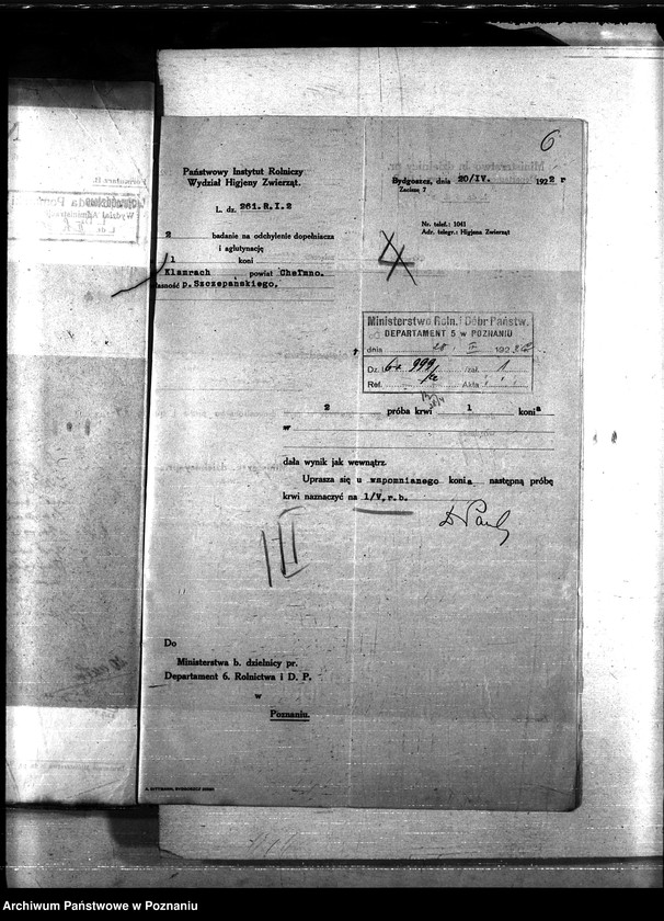 Obraz 10 z jednostki "Nosacizna - Chełmno"