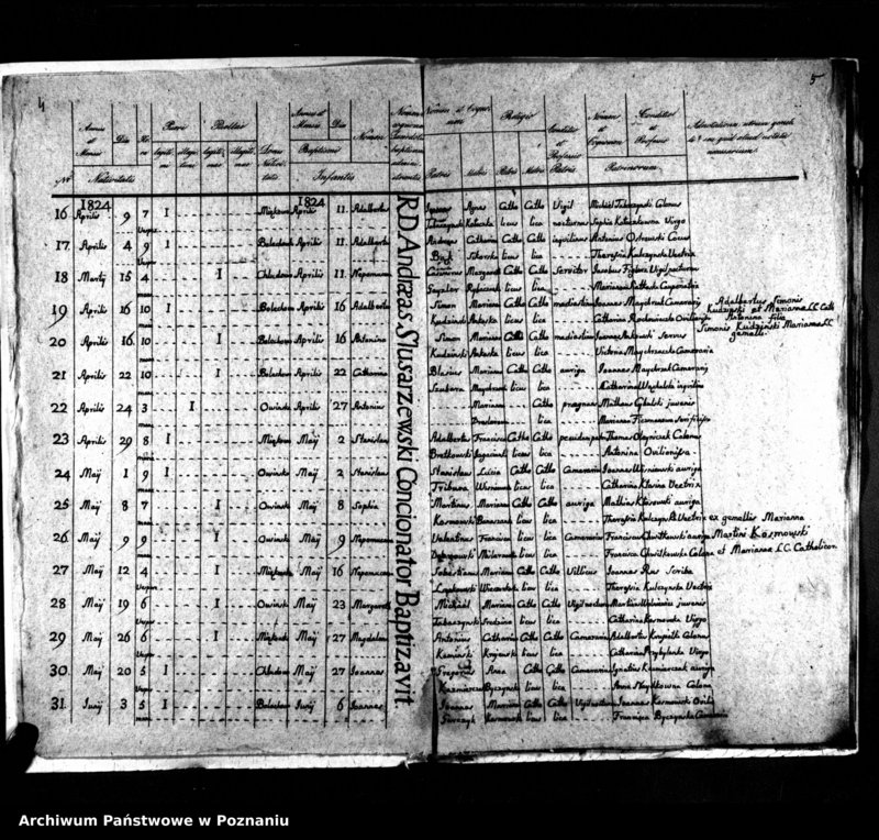 Obraz 5 z jednostki "Duplikat natorum, copulatorum, mortuorum"