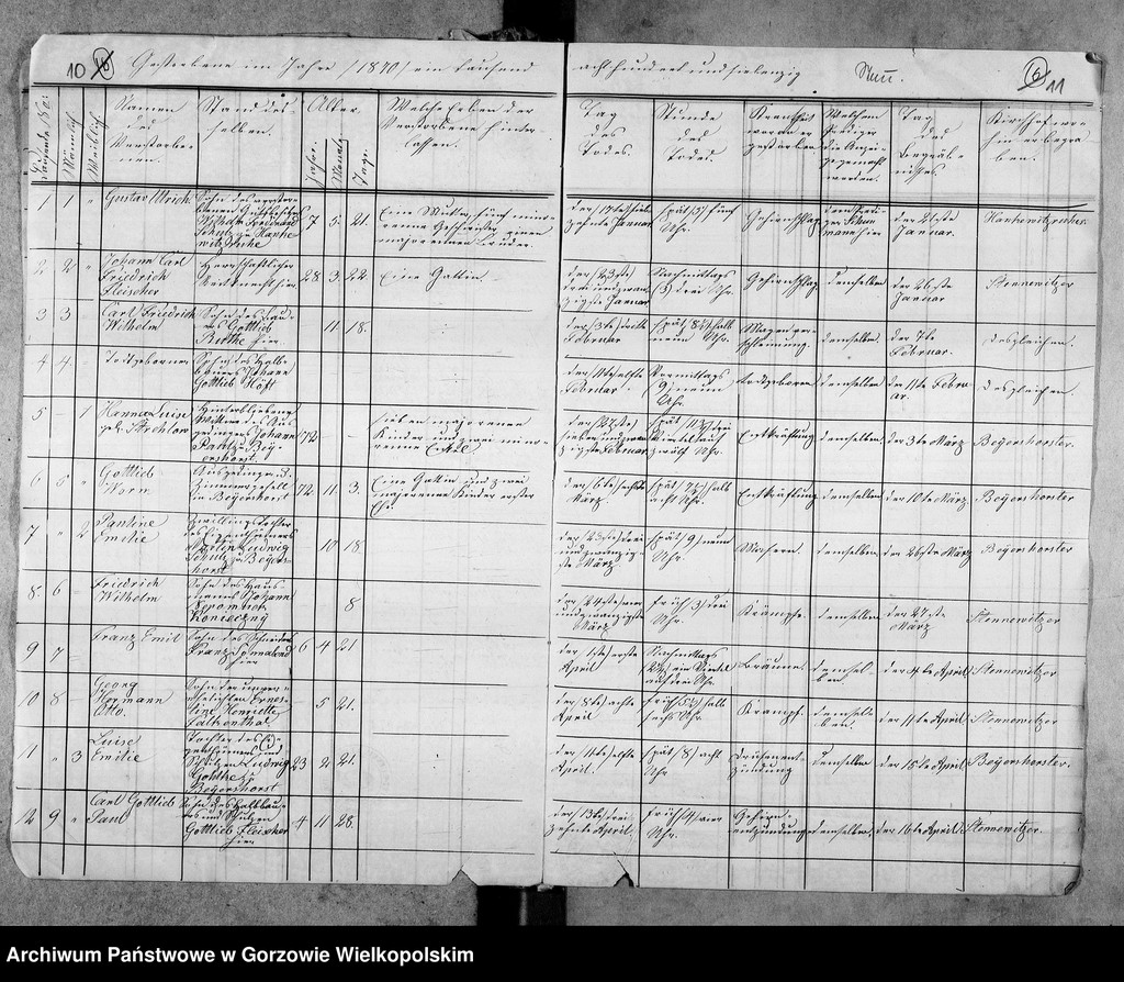 image.from.unit.number "Duplikate der Kirchenbücher von Stennewitz: Stennewitz (Stanowice), Stennewitzer Hütte (Stanowiczki), Christinenhof (Osica), Bayershorst (Dobrobądz), Dühringshof (Bogdaniec), Friedrichsberg (Motylewo), Gennin (Jenin), Klein Marwitz (Marwiczki)"