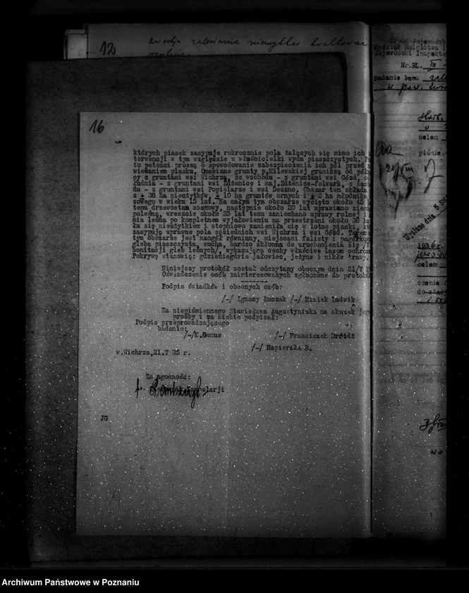 Obraz 20 z jednostki "Zalesienie nieużytków w powiecie tureckim"