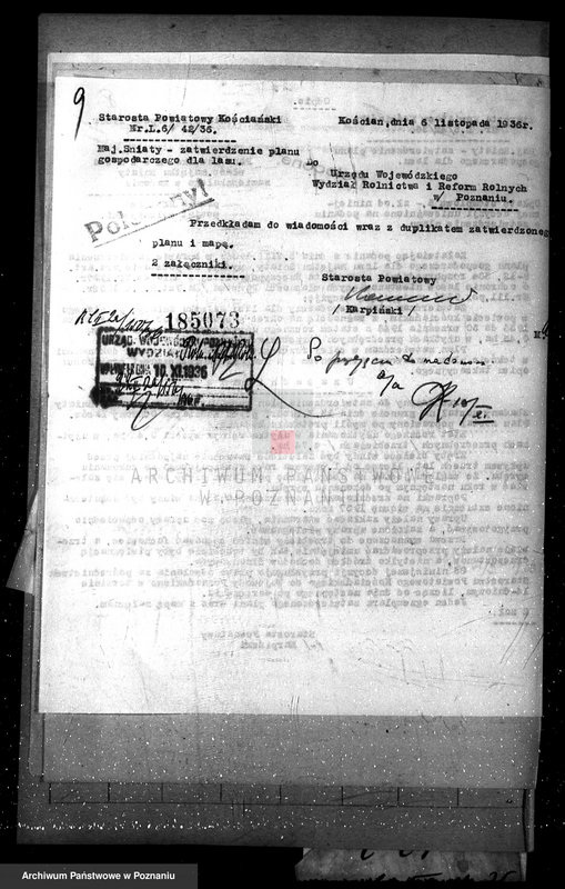 Obraz 13 z jednostki "Las majętność Śniaty powiat kościański"