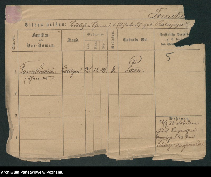 Obraz 14 z jednostki "Tomkiewicz - Tondel"