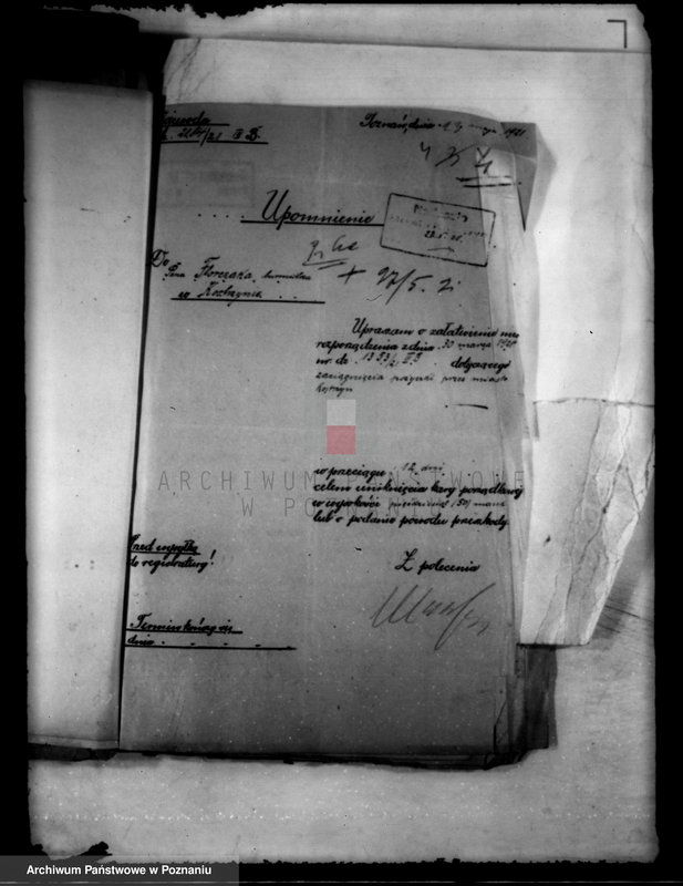 Obraz 8 z jednostki "Administracja miasta Kostrzyna"