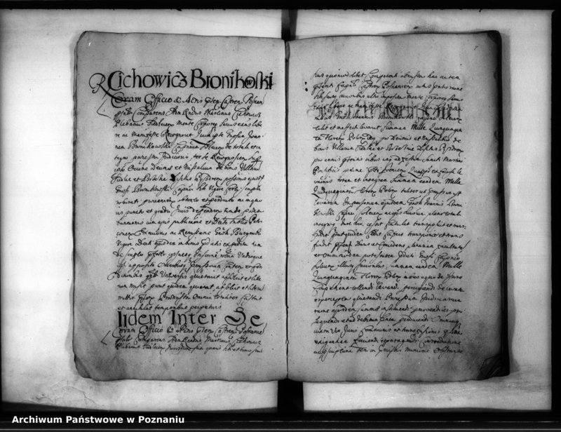 Obraz 10 z jednostki "Inscriptiones [inducta]"