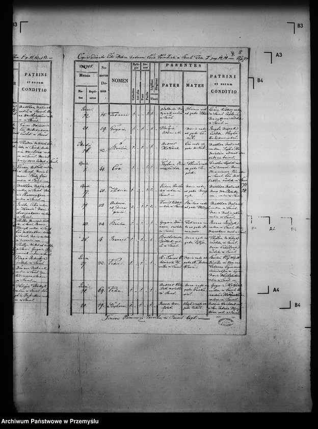 Obraz 12 z jednostki "[Kopie ksiąg metrykalnych parafii Berest z filią Polany (dekanat Grybów)]"
