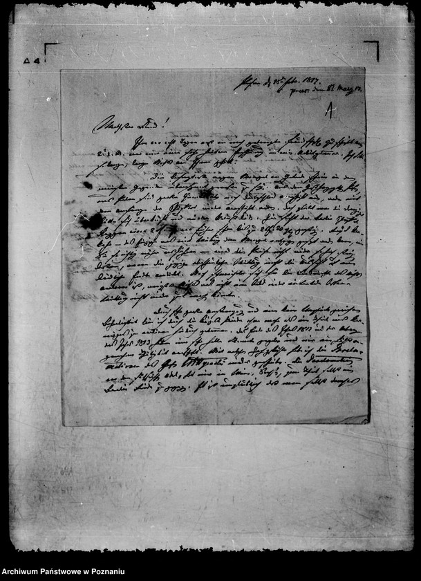 Obraz 5 z jednostki "/Dwa listy Zerboniego/."