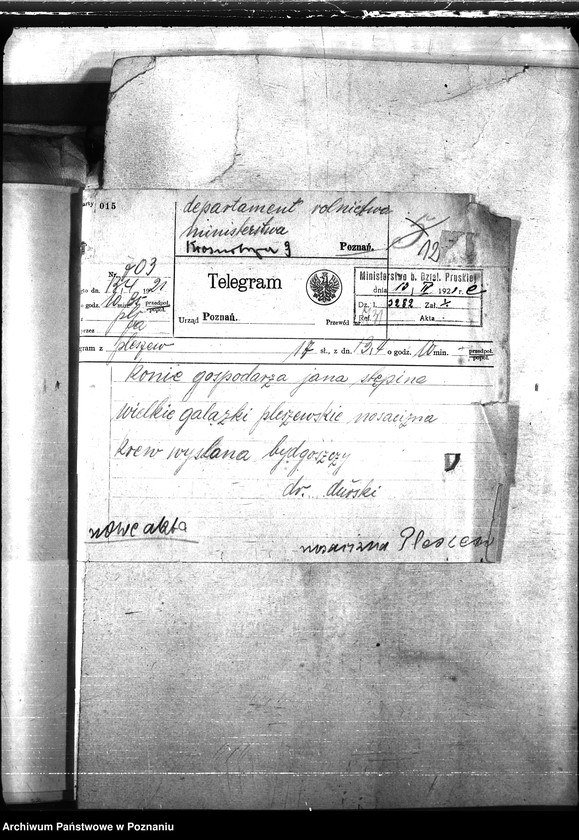 Obraz 16 z jednostki "Nosacizna - Pleszew"