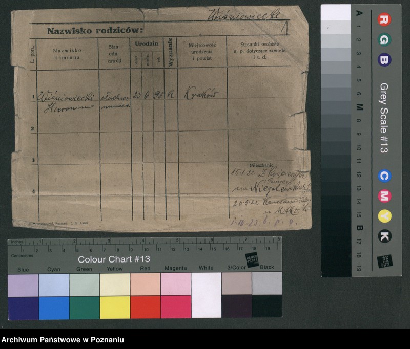 Obraz 6 z jednostki "Wiśniowiecki - Witczak"
