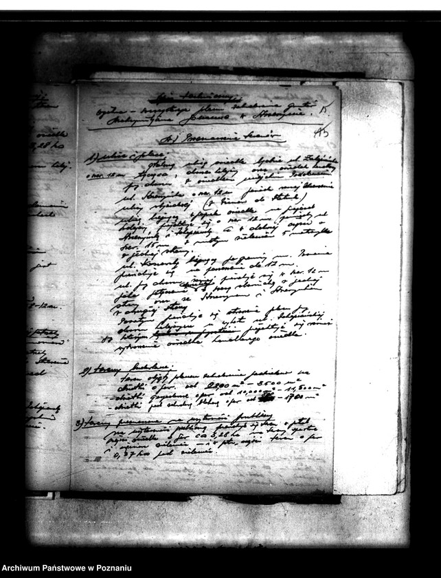 Obraz 19 z jednostki "/Majątek Strzeszyn powiatu poznańskiego plany zabudowy/"