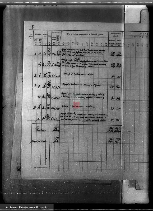 Obraz 12 z jednostki "Program urządzania gospodarstwa leśnego dla lasu klasztoru O.O Benedyktynów w Lubiniu powiat kościański"