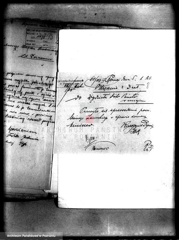 Obraz 12 z jednostki "Drzewostan w majętności państwowej Miniszew"