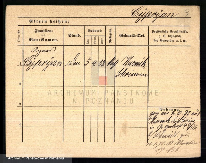 Obraz 11 z jednostki "Cypraniak - Czajka (żony i wdowy)"