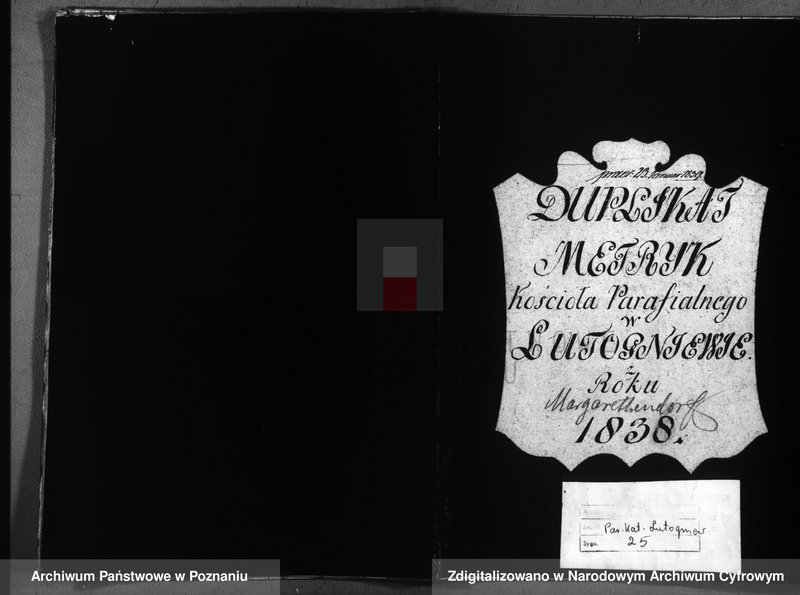 image.from.unit.number "Duplicatum baptisatorum, copulatorum, mortuorum"