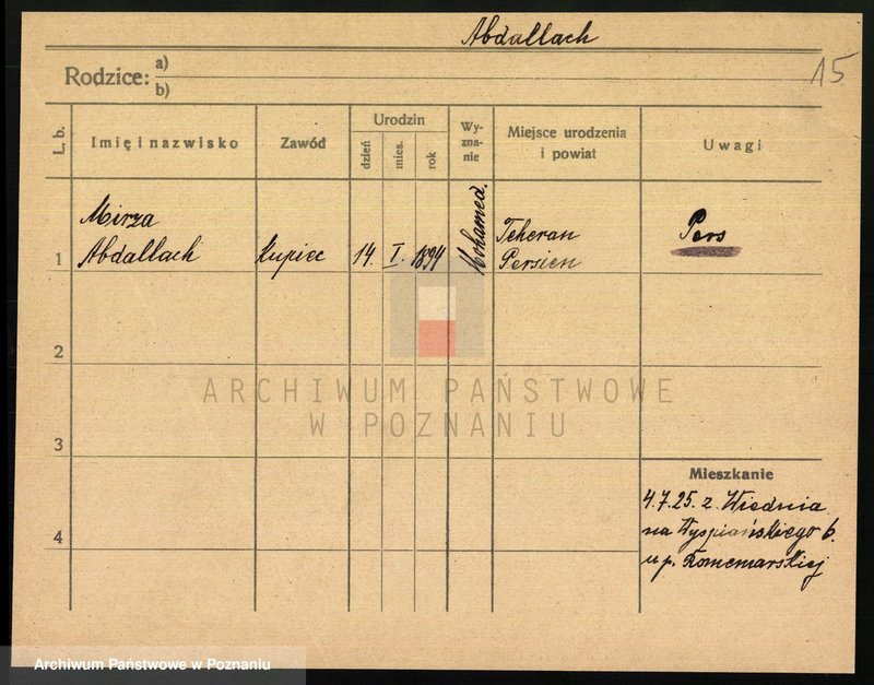 Obraz 17 z jednostki "Abakanowicz - Adalbert"