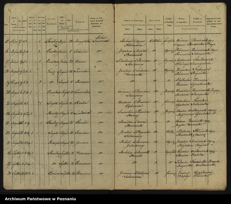 image.from.unit.number "Liber baptisatorum, copulatorum et mortuorum"