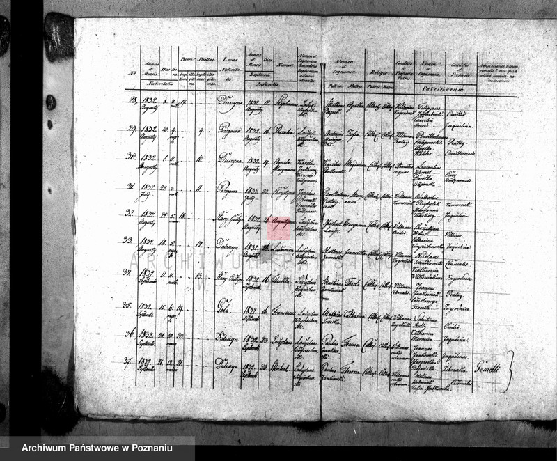 Obraz 5 z jednostki "Liber baptisatorum"