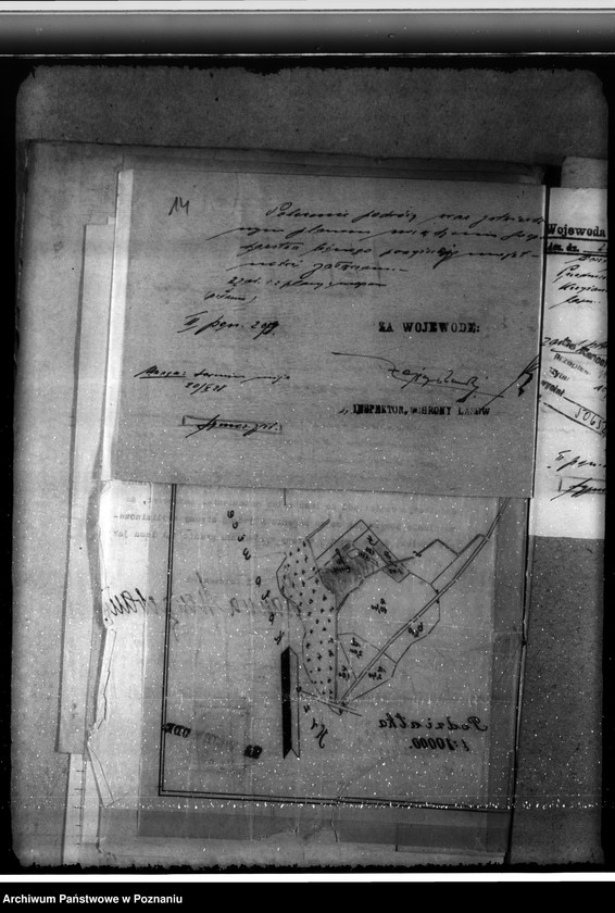 Obraz 18 z jednostki "Majętność leśna Krzyżanki w powiecie gostyńskim"