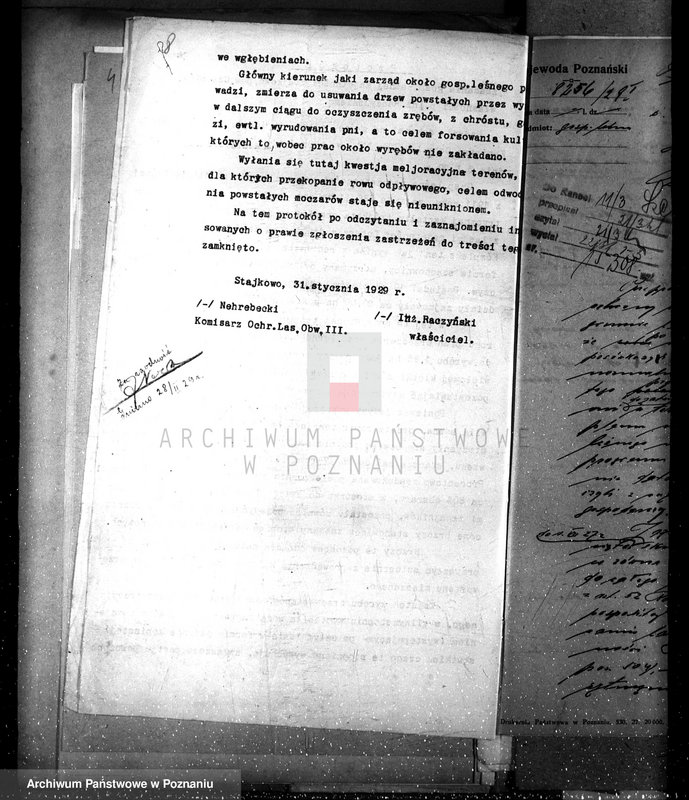 Obraz 14 z jednostki "Nadzór nad gospodarką leśną w lasach majętności Stajkowo powiecie czarnkowskim"