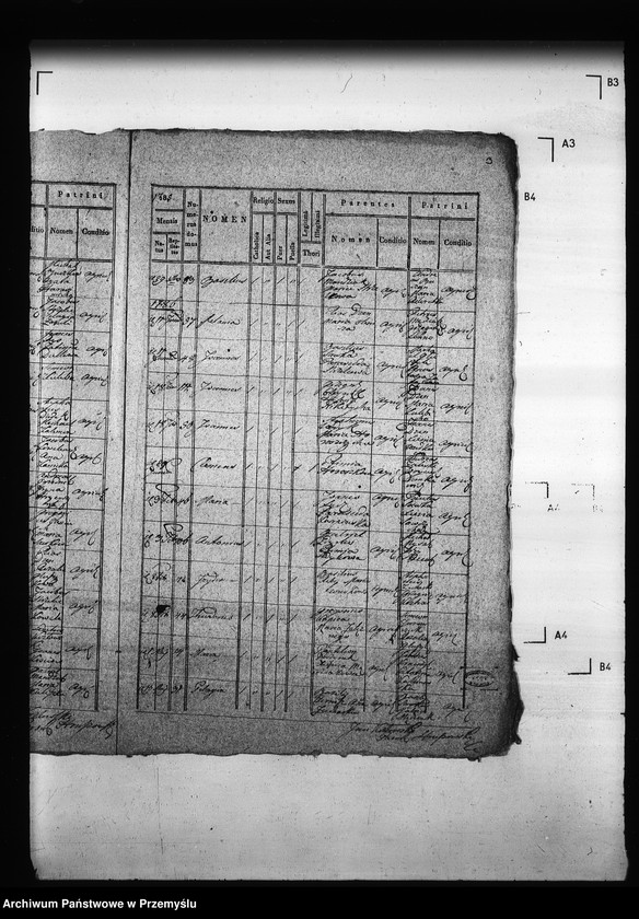 Obraz 7 z jednostki "[Kopie ksiąg metrykalnych parafii Hruszów z filiami Budomierz, Kłonice, Szczepłoty (dekanat Niemirów)]"
