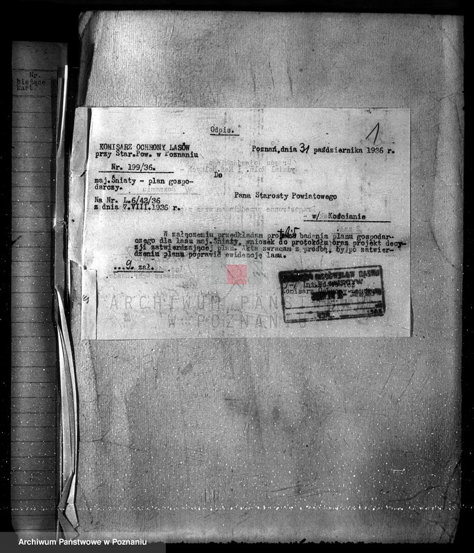 Obraz 5 z jednostki "Las majętność Śniaty powiat kościański"