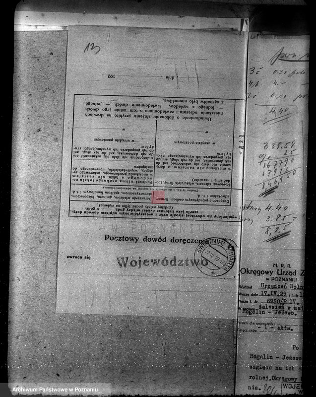 Obraz 17 z jednostki "Majętność leśna Jeżewo w powiecie gostyńskim"