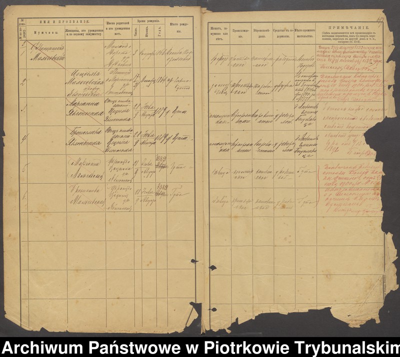 Obraz 13 z jednostki "[Księga ludności stałej gminy Ręczno wsi: Dąbie Podstolskie]"