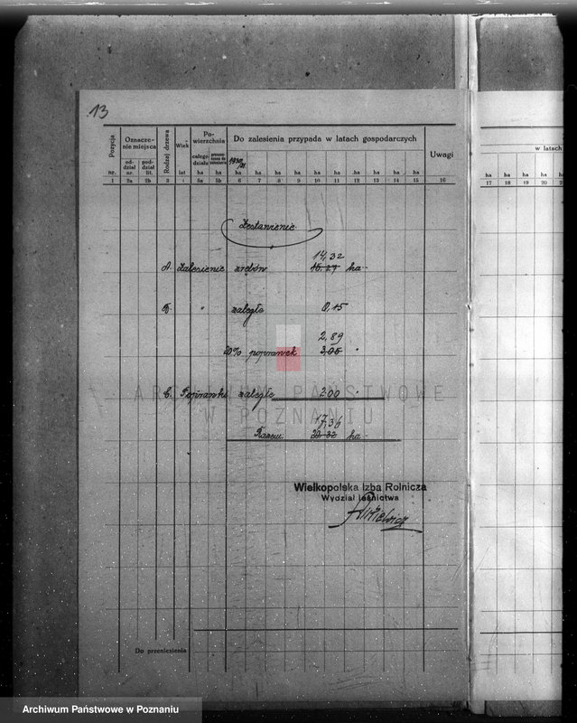 Obraz 17 z jednostki "Plan urządzenia gospodarstwa leśnego dla lasu majętności Grąblewo w powiecie nowotomyskim"